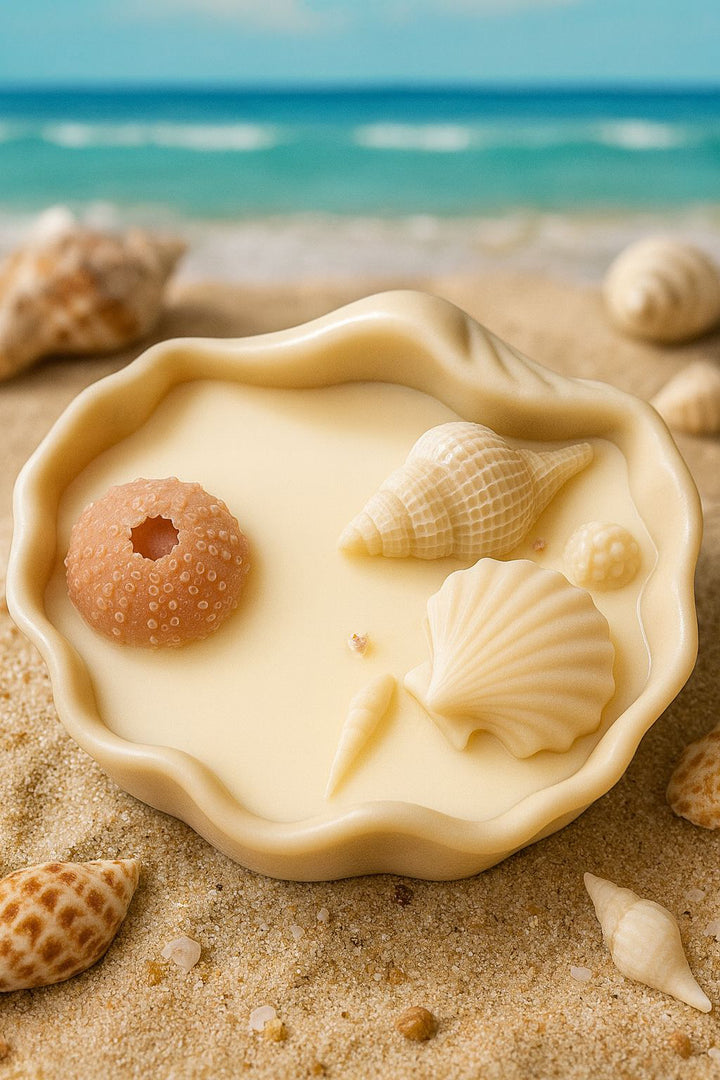 Charlotte-Skin-Under-the-Sea-Candle-Clam-Shell-2025-DodoMarket-delivery-Mauritius
