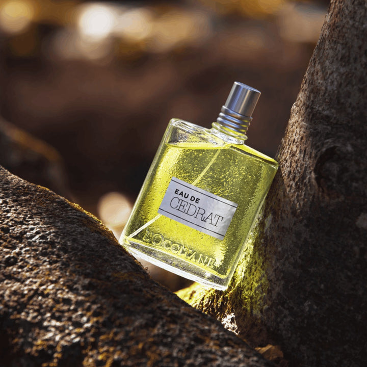 L_Occitane-Eau-de-Cedrat-EDT