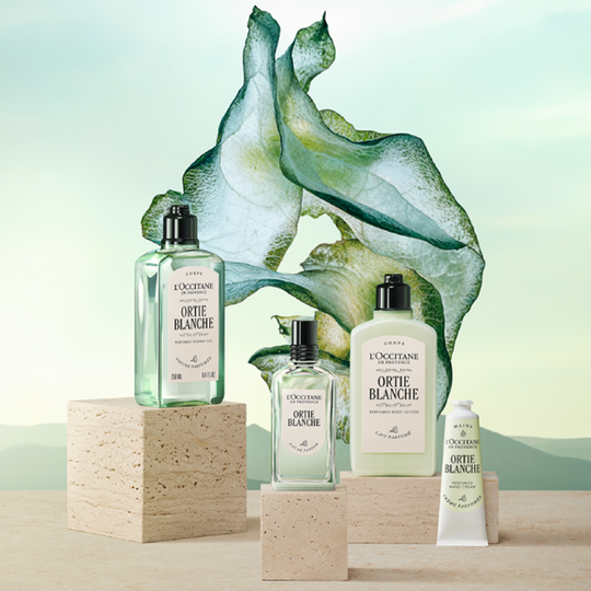 L'Occitane Ortie Blanche (Herbae) Coffret