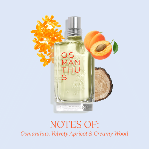 L_Occitane-Osmanthus-EDT-DodoMarket--Mauritius
