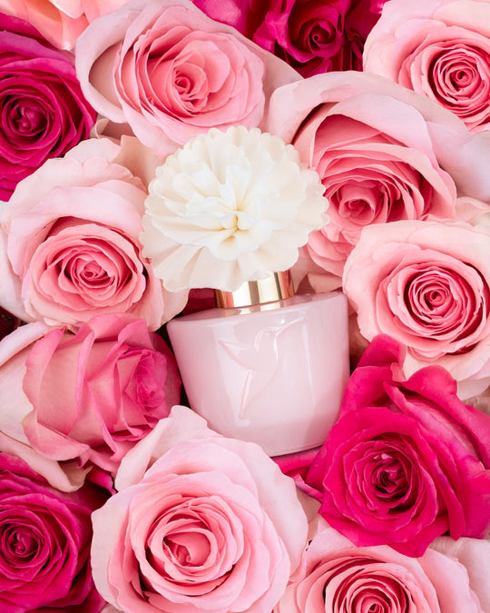Diffuseur à roseaux Adopt Jardin Rose
