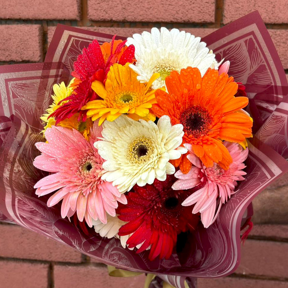 20-Gerberas-Bouquet-DodoMarket-delivery-Mauritius
