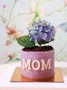 Mother's Day Bloom Mini Cake Collection