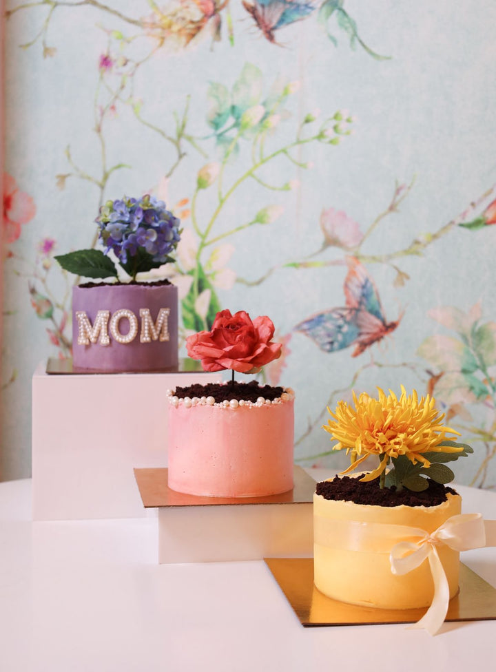 Bloom-Mini-Cakes-Collection-DodoMarket-delivery-Mauritius