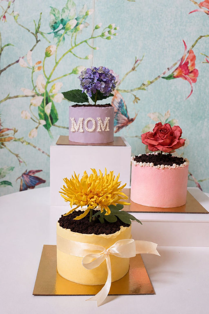 Bloom-Mini-Cakes-assorti-Collection-DodoMarket-delivery-Mauritius