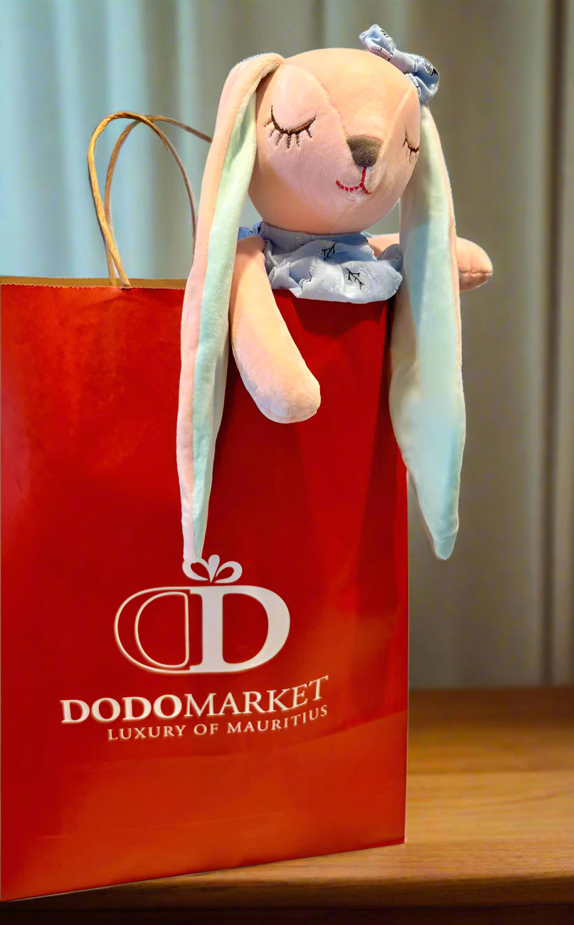 Bunny-dress-toy-in-gift-bag-DodoMarket-delivery-Mauritius