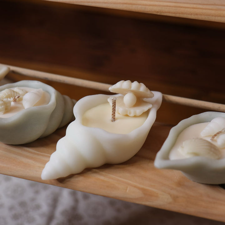Charlotte-Skin-Under-the-Sea-Candle-Crown-Conch-DodoMarket-delivery-Mauritius