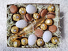 Boîte Chocolats & Bulles de Pâques