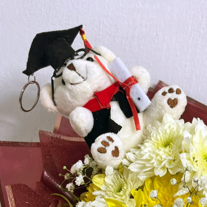 Graduate-scholar-bear-DodoMarket-delivery-Mauritius