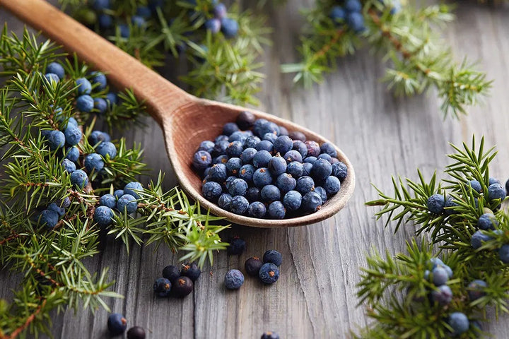Juniper-Berries