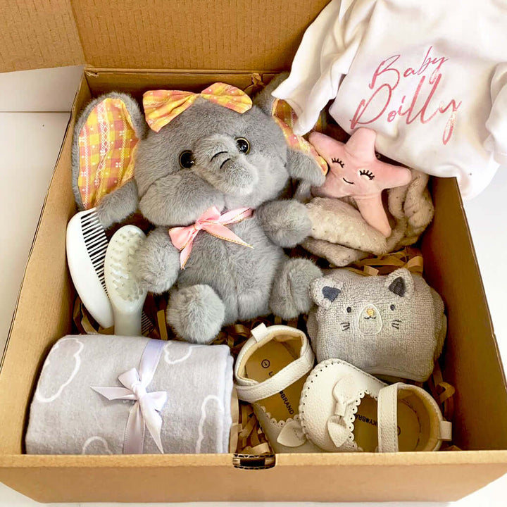 Birthday Gift Box Welcome Home Baby Girl Gift Baskets Lux Smile