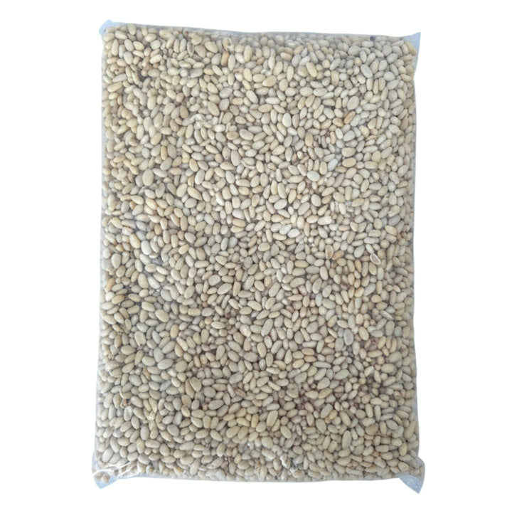 NeoFoods-Pine-Nuts-Raw-1kg-catering-plastic-pack
