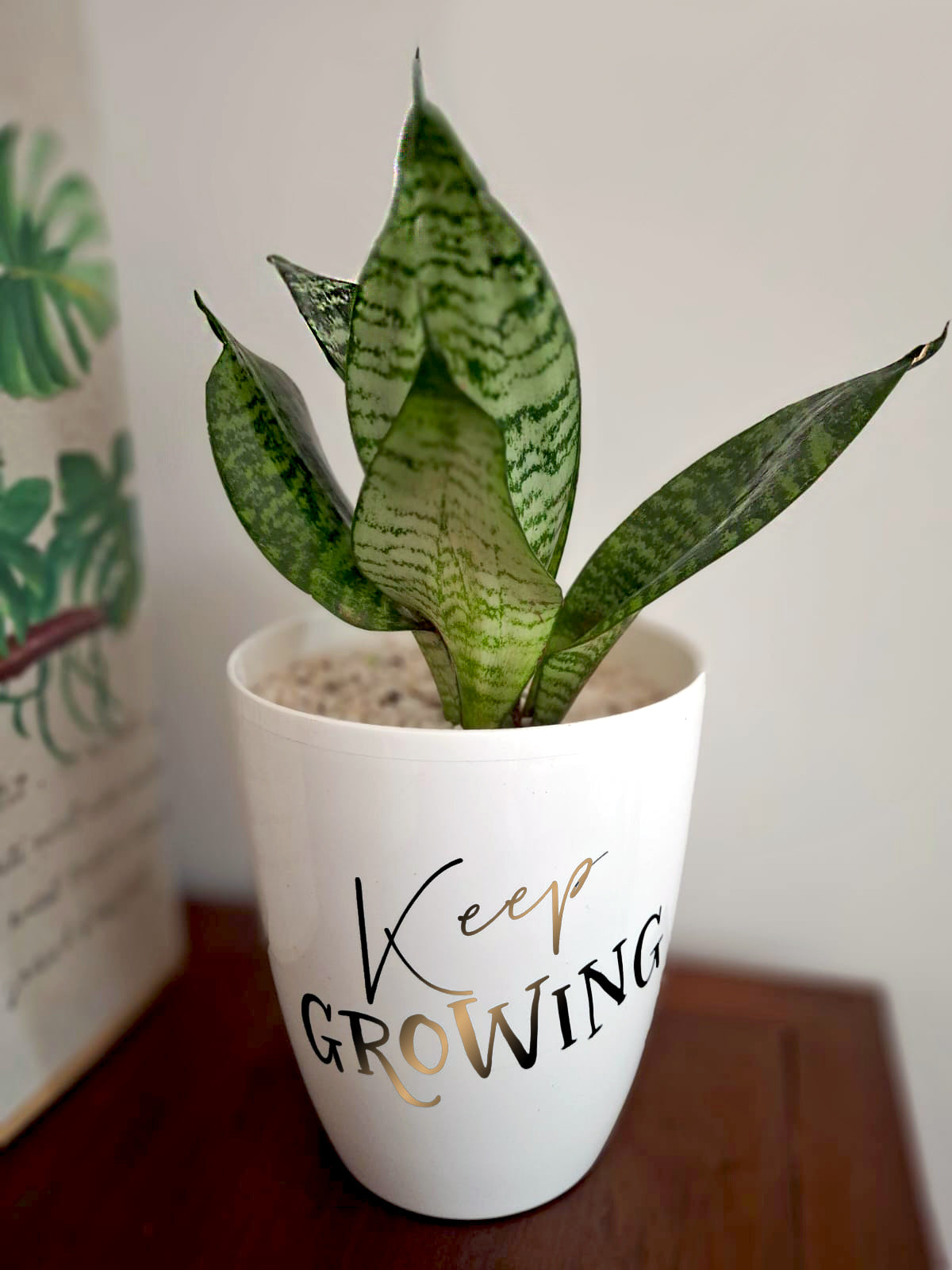 Personalized-Flower-Pot-Keep-Growing-DodoMarket-delivery-Mauritius