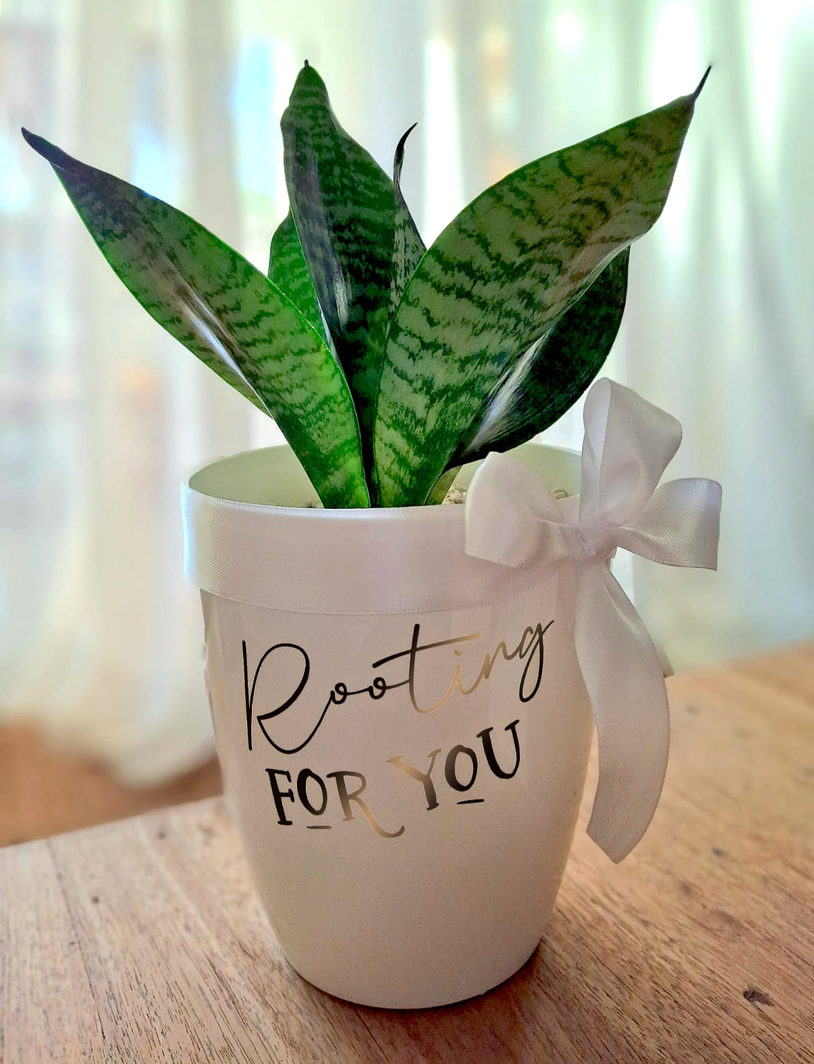 Personalized-Flower-Pot-Single-Plant-DodoMarket-delivery-Mauritius