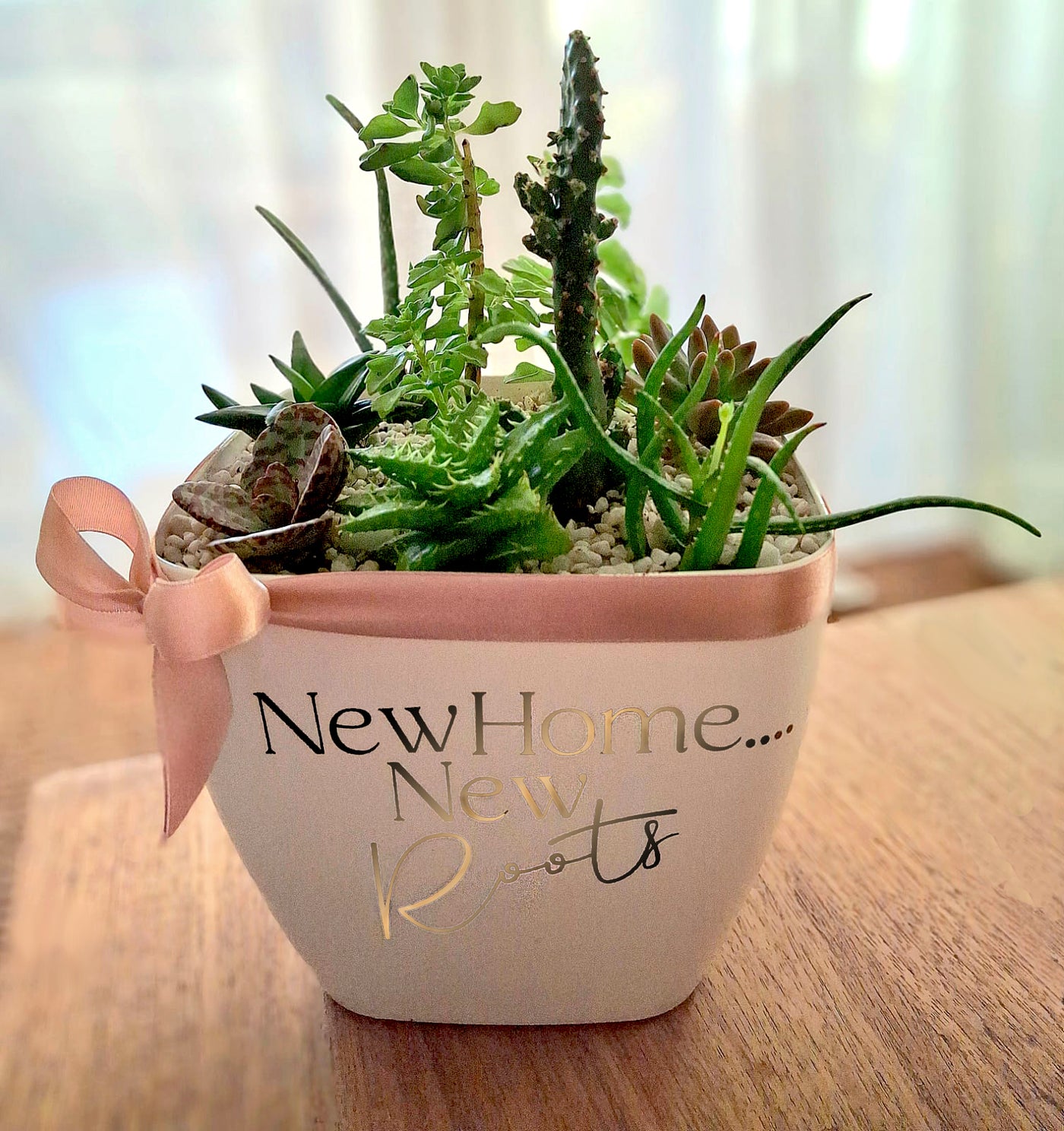 Personalized-Flower-Pot-Succulents-Garden-DodoMarket-delivery-Mauritius