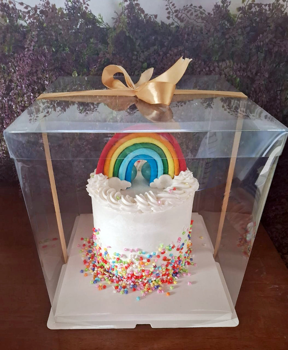 Rainbow-birthday-Cake-in-box-DodoMarket-delivery-Mauritius
