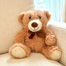 Teddy Bear Plush Toy