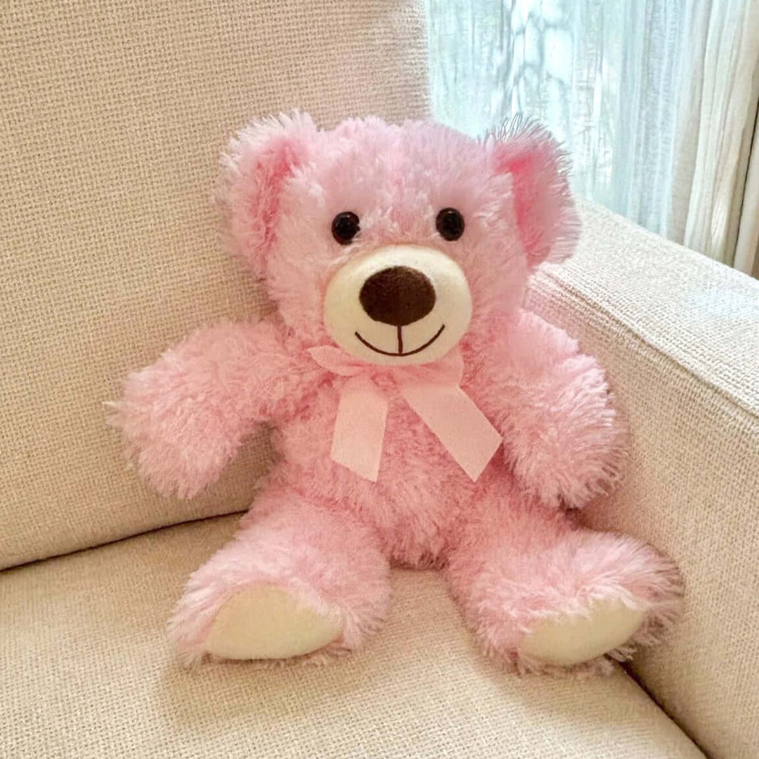 Teddy-Bear-Plush-Toy-Pink-DodoMarket-delivery-Mauritius-Valentines