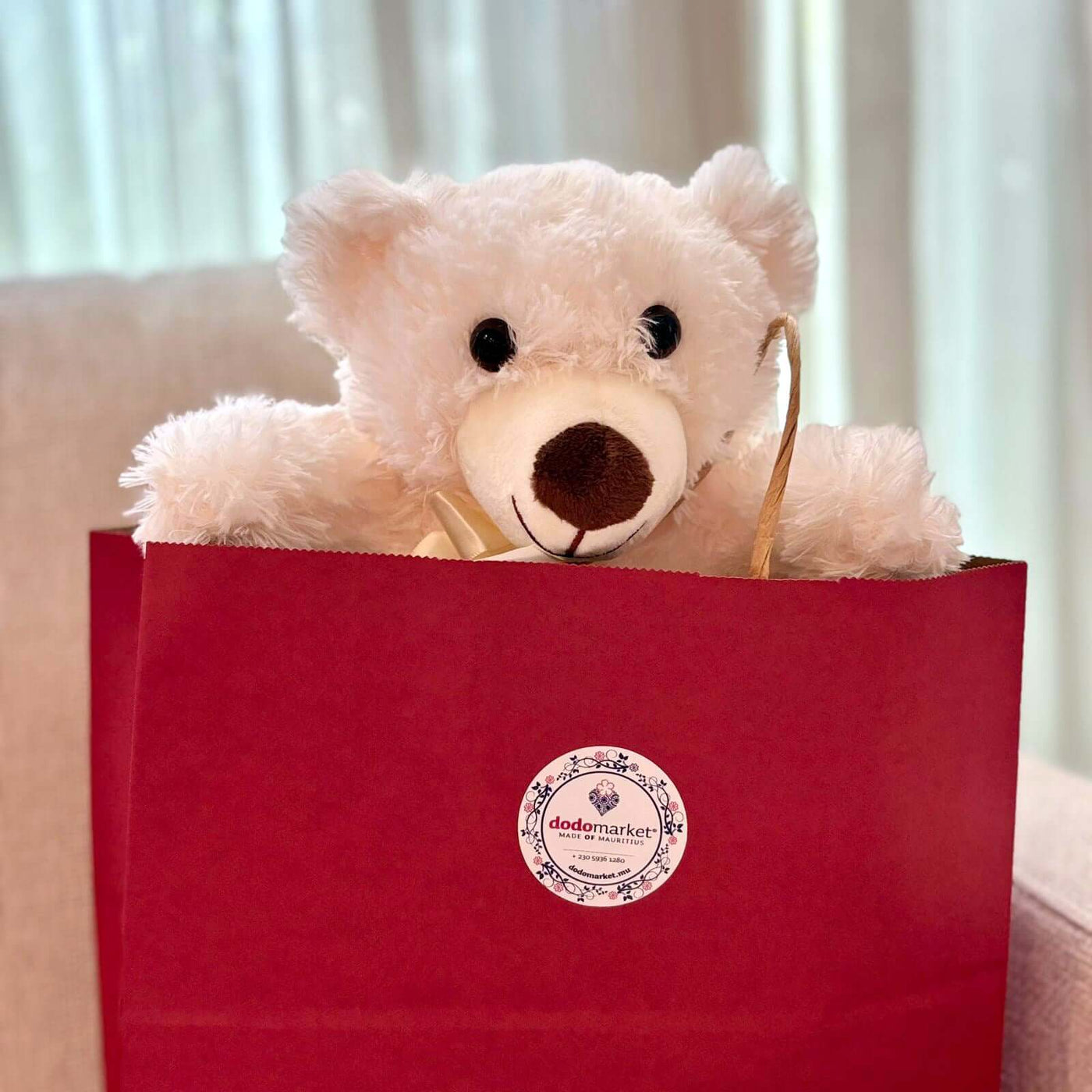 Teddy-Bear-Plush-Toy-White-gift-bag-DodoMarket-delivery-Mauritius-Valentines
