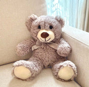 Teddy Bear Plush Toy