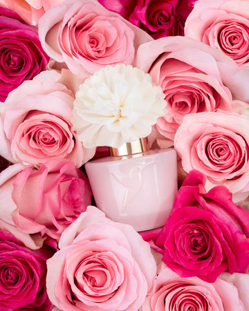 Adopt Parisian Perfume Online Mauritius — DodoBeauty – DodoMarket Mauritius