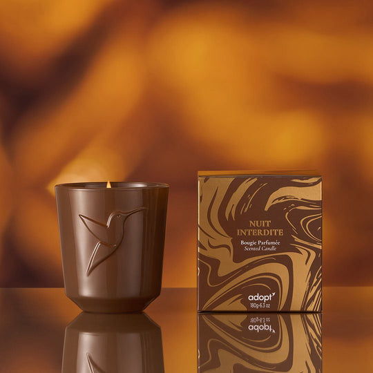Adopt Nuit interdite Scented Candle Delivery Mauritius