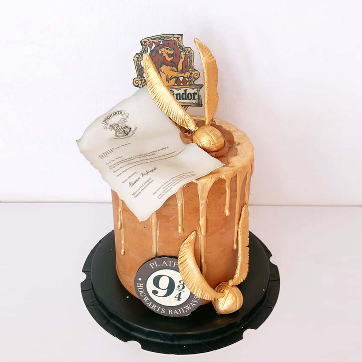 Chocolate-Birthday-Cake-Harry-Potter-DodoMarket-Delivery-Mauritius