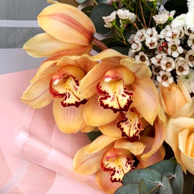 DodoMarket Flower Bouquet - Orchid Grace - peach Orchids Cymbidium