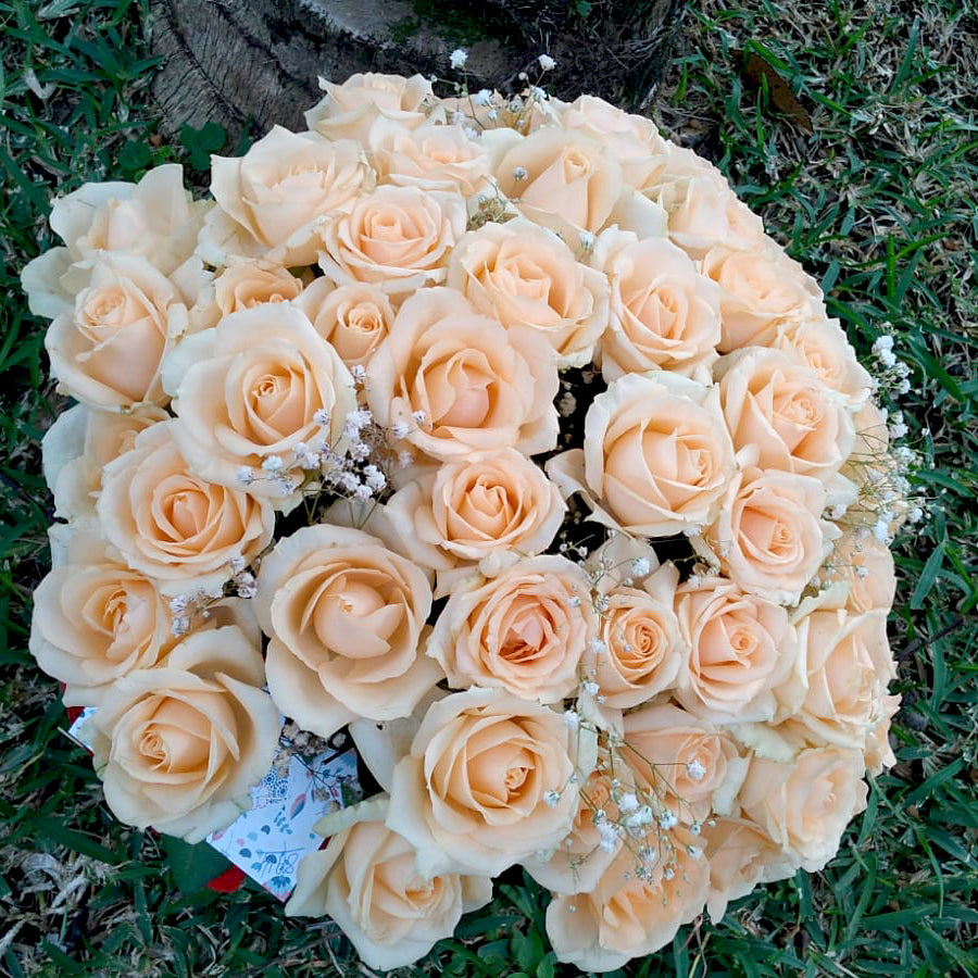 Flower-Bouquet-Passionement-50-Ivory-Roses-DodoMarket-delivery-Mauritius