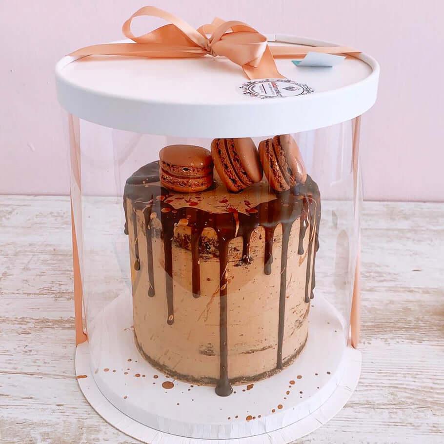 Macaron Chocolate Cake - Birthday Delight - Dodomarket delivery Mauritius