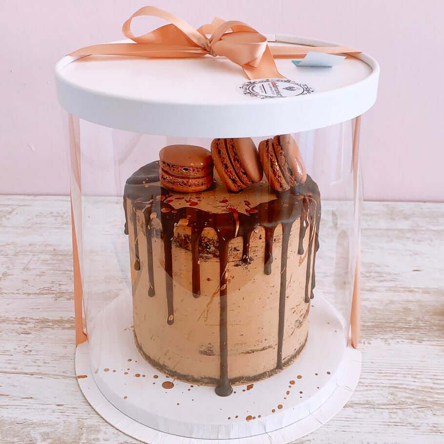 Macaron Chocolate Cake - Birthday Delight - Dodomarket delivery Mauritius