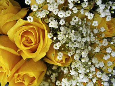 Yellow-roses-DodoMarket-flower-delivery-Mauritius